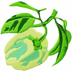 Pepper Embroidery Design 11 Pepper Embroidery Design 11